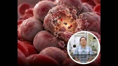 Células cancerosas fabrican su propio fármaco destructor
