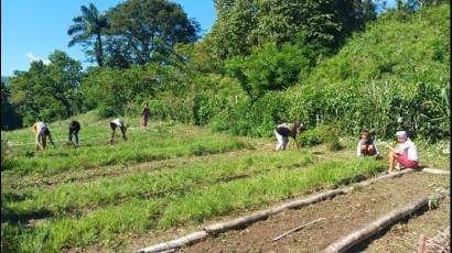 Proyecto internacional impulsa la enseñanza agroecológica en escuelas de Yateras.jpg