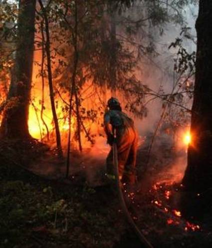 Incendios en Rusia