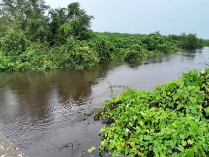 Varios ríos de la provincia han elevado considerablemente el nivel de sus aguas por estos días