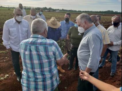 Miguel Díaz-Canel visita Artemisa