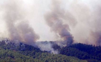 Incendio forestal en Pinar