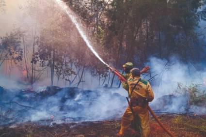 La estación ecológica Poza de Rafael se preservó mayormente por el desvelo de quienes han llegado al Este holguinero a eliminar el fuego