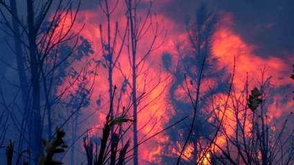Incendio forestal en Pinar del Río