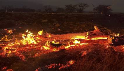 Incendios forestales de la localidad hawaiana