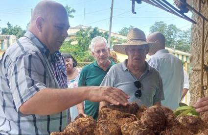 Morales Ojeda recorre centros y entidades de La Habana