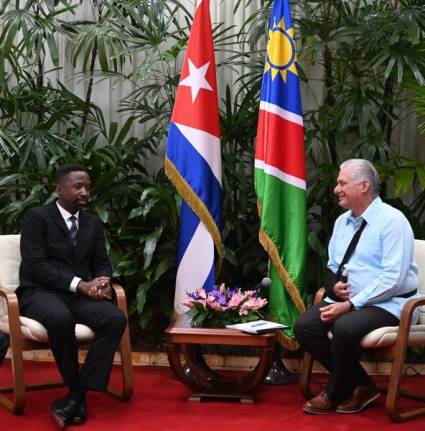 Encuentro de Miguel Díaz-Canel con Lukas Sinimbo Muha, presidente del Consejo Nacional de la República de Namibia