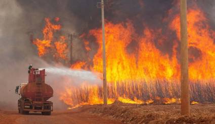 Incendios forestales en Brasil