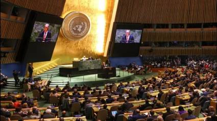 Asamblea General de la ONU