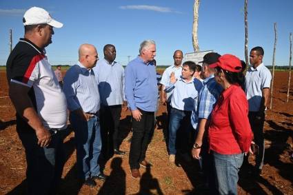 El Primer Secretario del Comité Central del Partido Comunista y Presidente de la República de Cuba, Miguel Díaz-Canel Bermúdez, visitó en la mañana de este sábado el municipio matancero de Pedro Betancourt