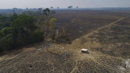 Brasil: Aumenta considerablemente deforestación en la Amazonía durante un año