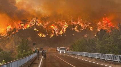 Incendios forestales en Türkiye.