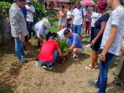 Jóvenes matanceros siembran palmas reales en celebración del cumpleaños de Fidel.