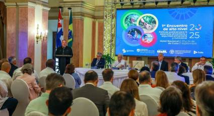 El Primer Ministro reiteró el agradecimiento al pueblo brasileño