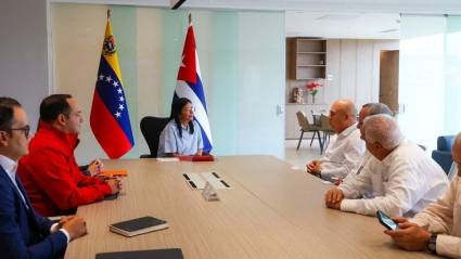 Vicepresidenta ejecutiva de Venezuela dialoga con Morales Ojeda