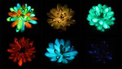 Científicos han creado plantas recargables, multicolores y que brillan