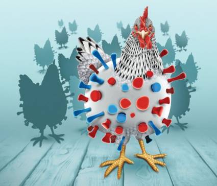 La gripe aviar H5 podría desatar una pandemia más mortal que el COVID