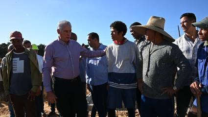 La Habana: Presidente de Cuba constata avances en estrategias de desarrollo