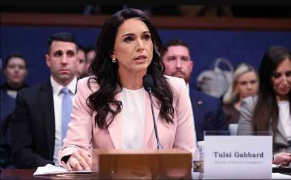 Tulsi Gabbard