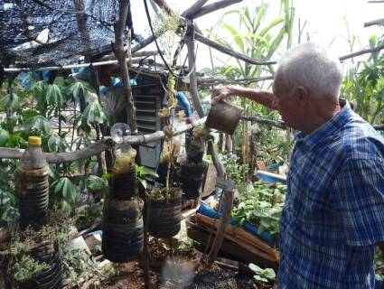 En el tercer piso de una vivienda holguinera, donde muchos solo verían una placa de concreto castigada por el sol, Julián Velázquez Claro convirtió ese espacio en un pequeño campo productivo con 12 canteros donde cultiva hortalizas, plantas medicinales y viandas.