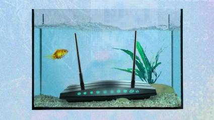 Cosas extrañas que interfieren con la WI-Fi y no lo sabías