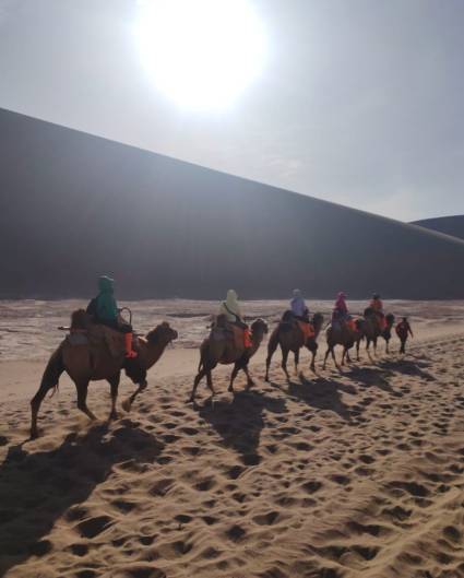 A paso lento, en perfecta sinergia, sobre el suelo árido del desierto de Gobi