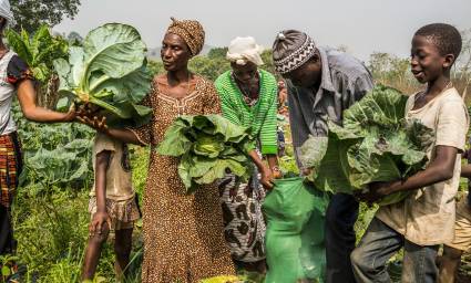 Agricultura África.jpg