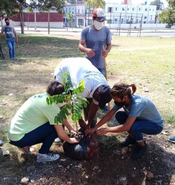 Plantar un árbol es sembrar vida - Juventud Rebelde - Diario de la juventud  cubana